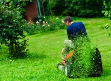 Kwikfynd Lawn Mowing
ruthven