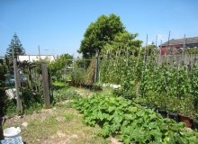 Kwikfynd Vegetable Gardens
ruthven